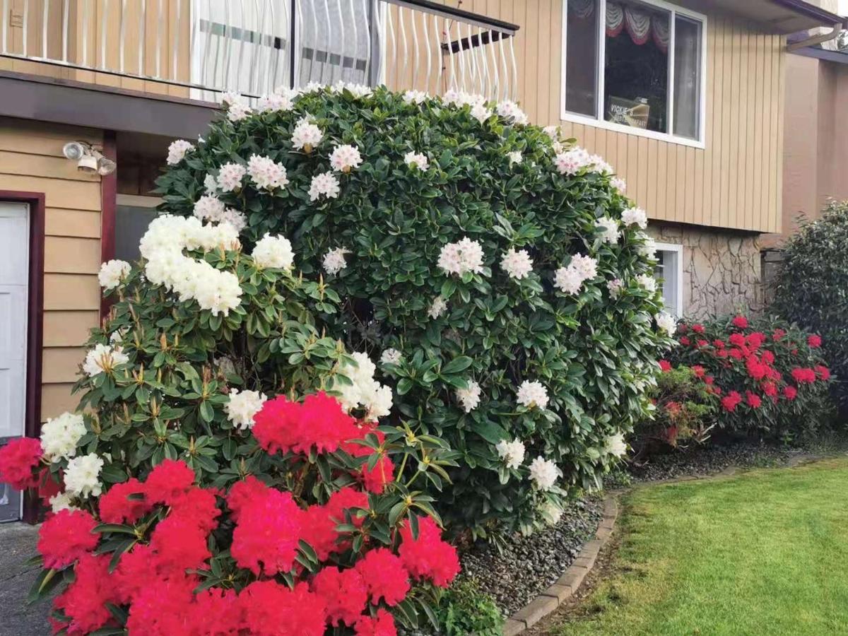 Richmond Vancouver Airport Comfy Home Exteriör bild